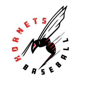 AM_Hornets Baseball Logo_Final__Badge