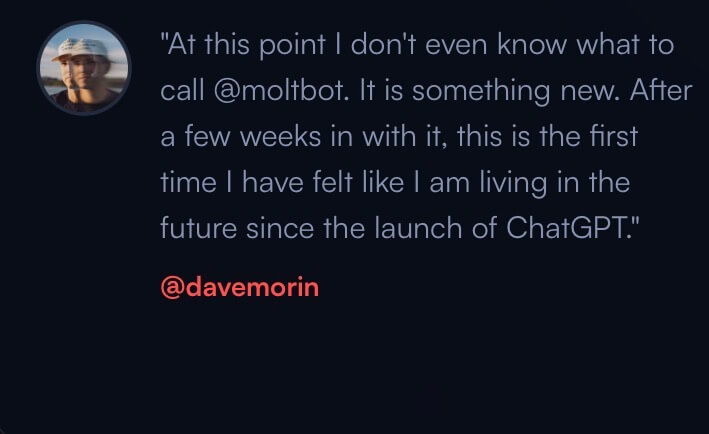 Moltbot testimonial