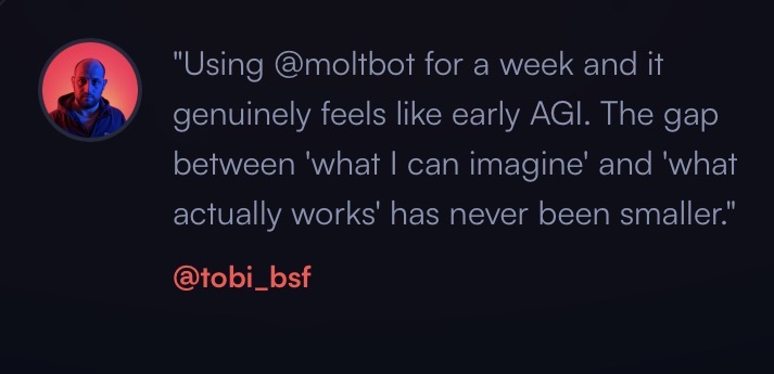 Moltbot testimonial