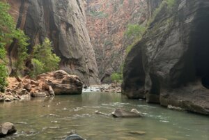 Narrows at Zion National Park