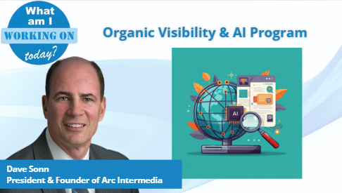 Organic Visibility and AI Program