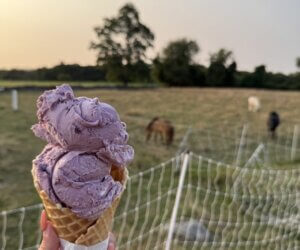 icecream