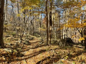 image6 (3)