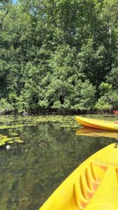 kayaking